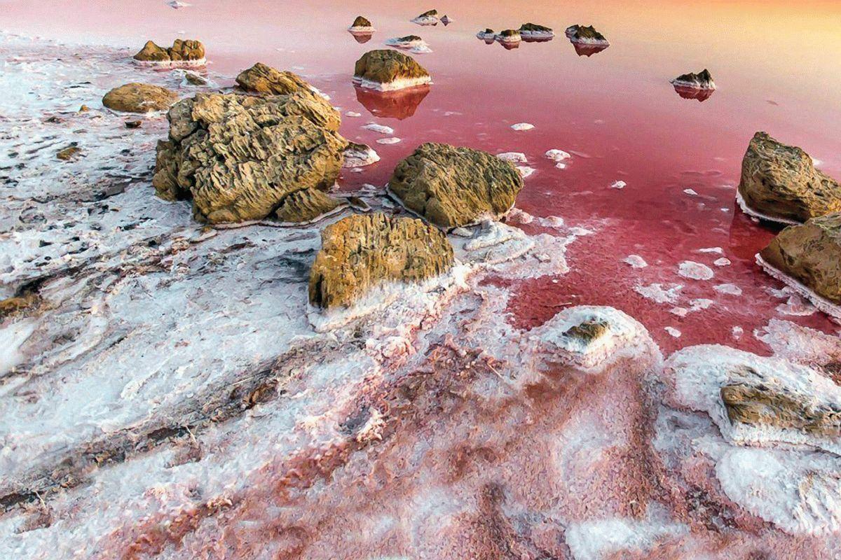 Где находится Розовое озеро в Крыму
