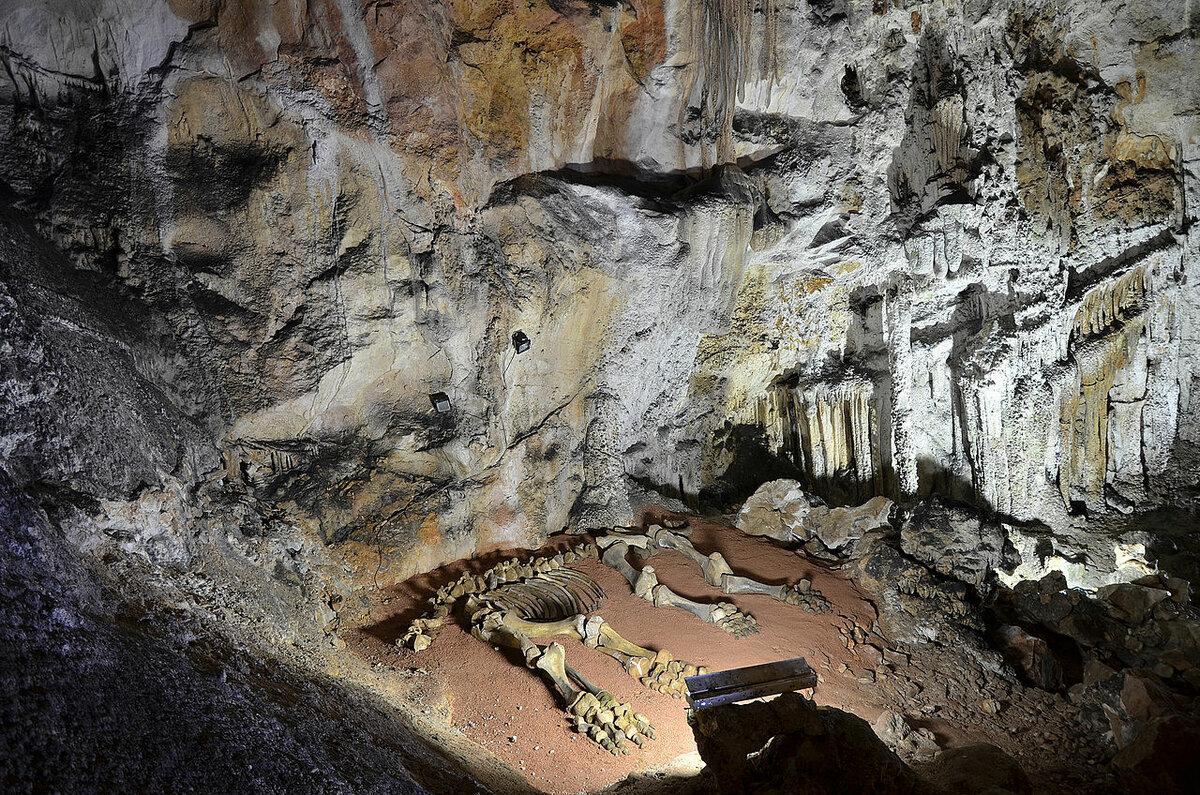 Фото Мамонтовой пещеры