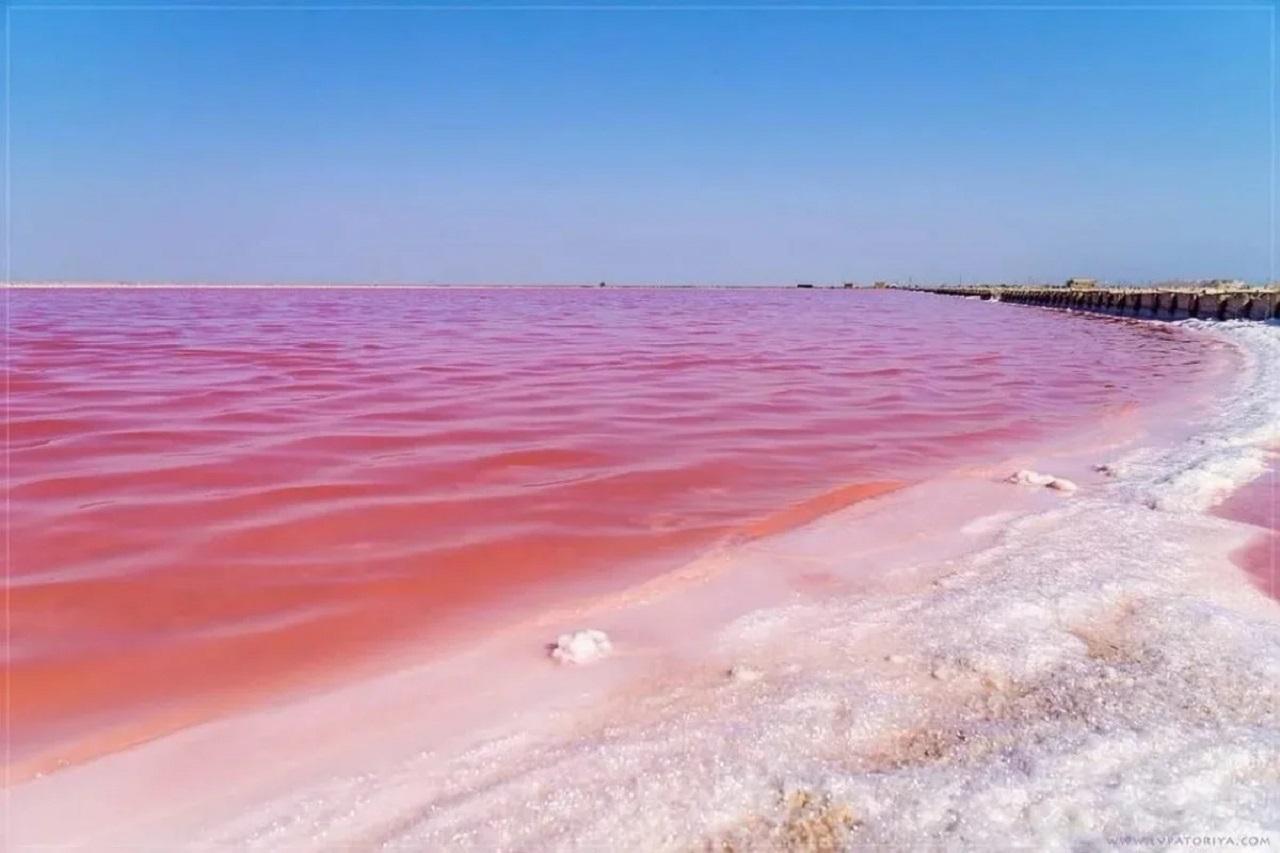Фото розового озера
